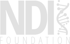 NDI Foundation Logo